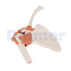 Shoulder Harness